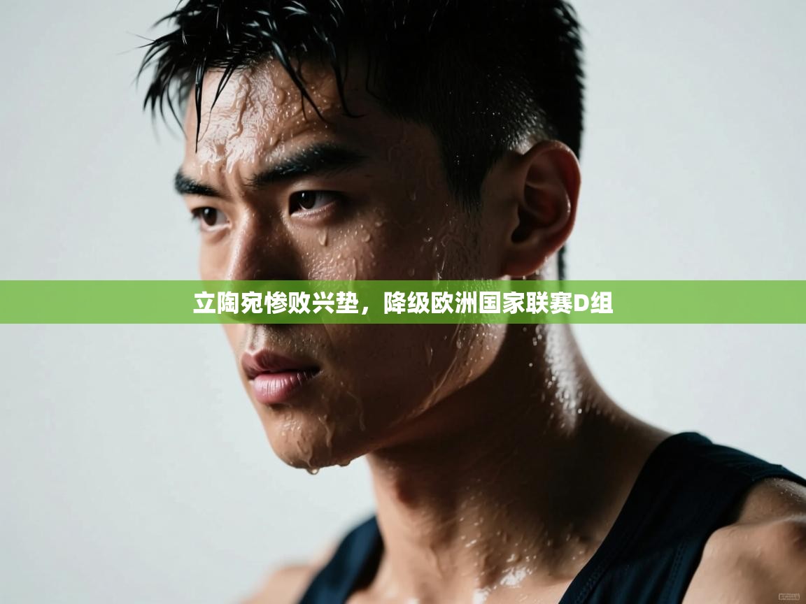 立陶宛惨败兴垫，降级欧洲国家联赛D组  第2张