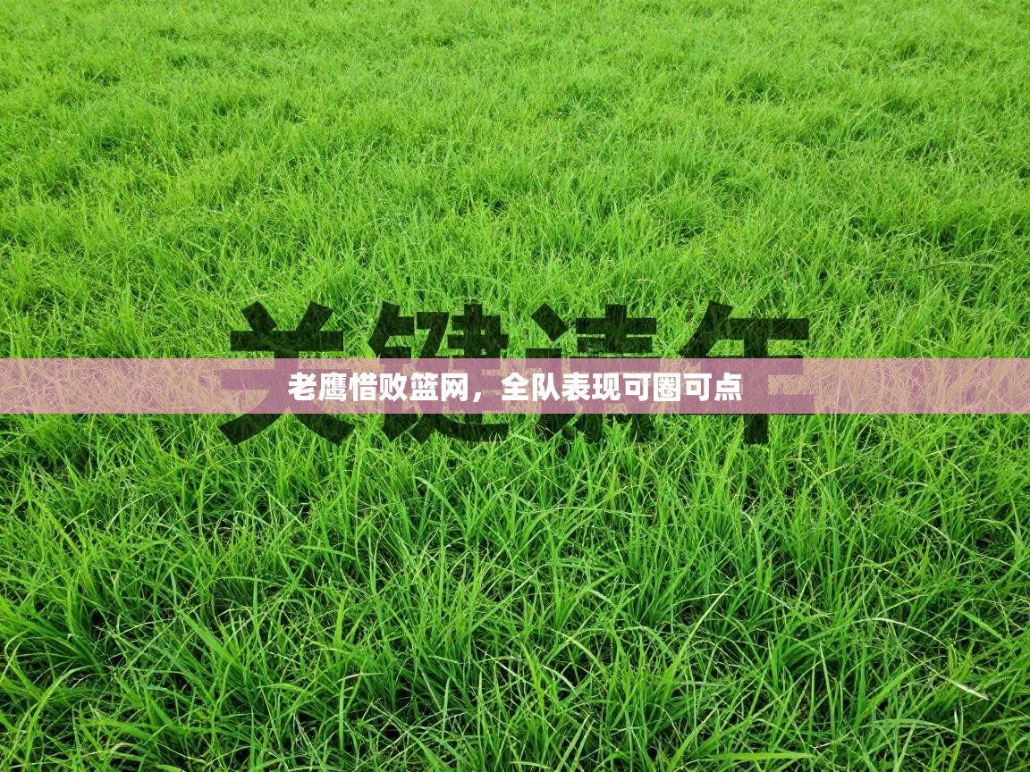 老鹰惜败篮网，全队表现可圈可点  第1张