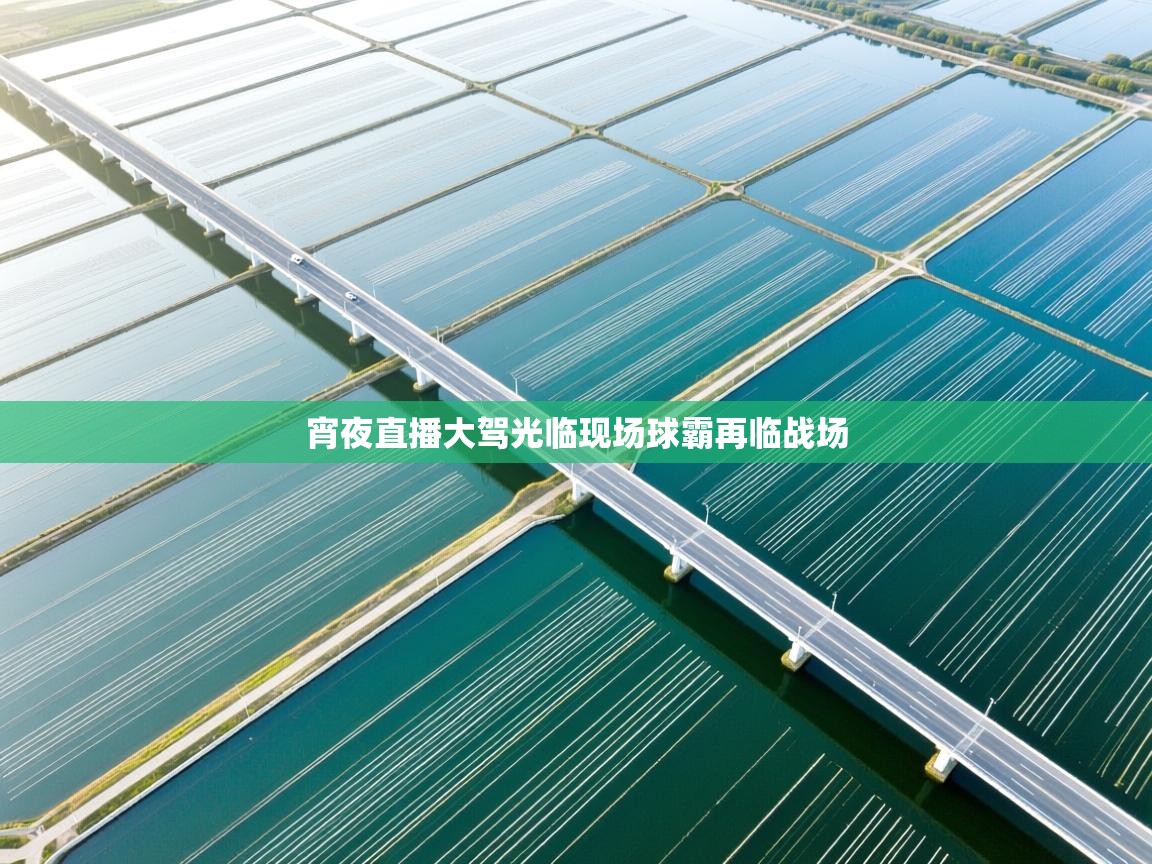 宵夜直播大驾光临现场球霸再临战场  第2张