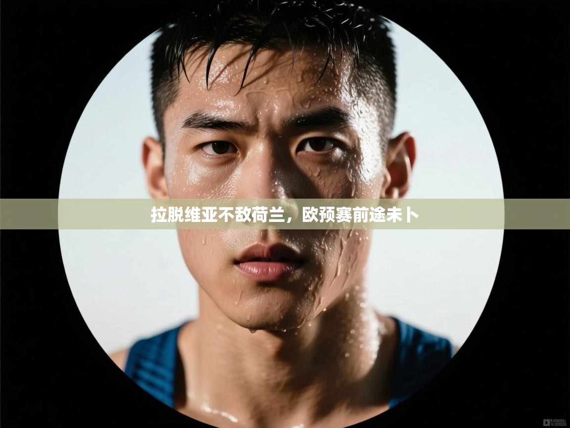 拉脱维亚不敌荷兰,欧预赛前途未卜 第2张