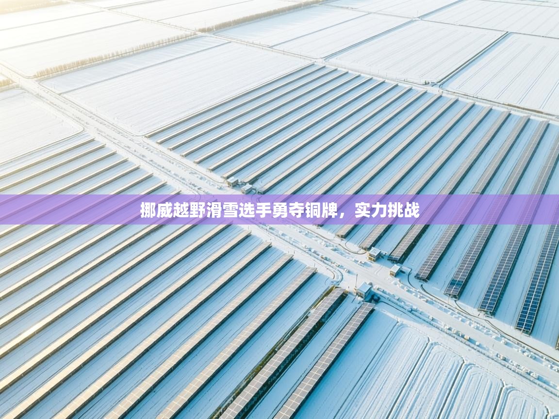 挪威越野滑雪选手勇夺铜牌，实力挑战