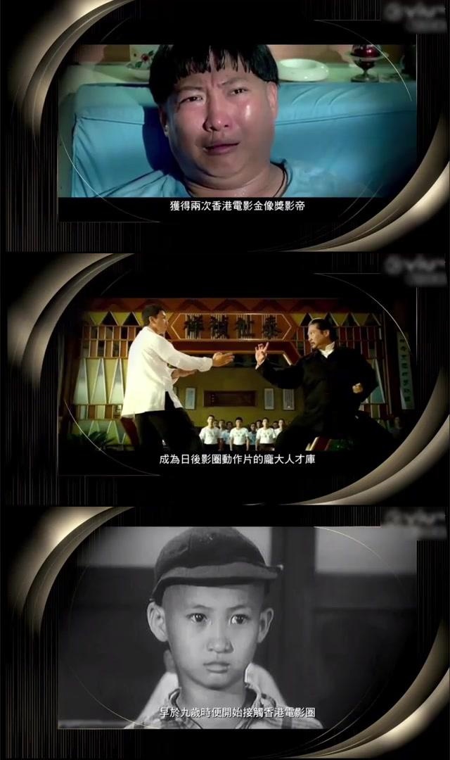 战术卓越逆袭夺冠成就传奇